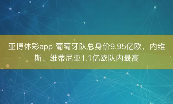 亚博体彩app 葡萄牙队总身价9.95亿欧，内维斯、维蒂尼亚1.1亿欧队内最高