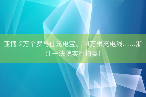 亚博 2万个罗马仕充电宝、14万根充电线……浙江一法院实行拍卖！
