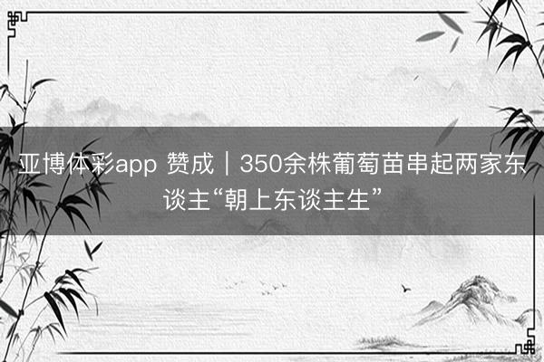 亚博体彩app 赞成｜350余株葡萄苗串起两家东谈主“朝上东谈主生”
