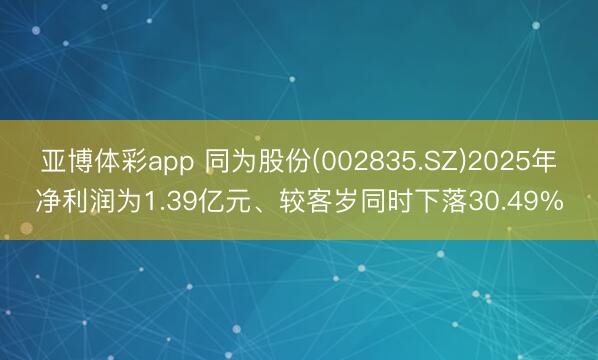 亚博体彩app 同为股份(002835.SZ)2025年净利润为1.39亿元、较客岁同时下落30.49%