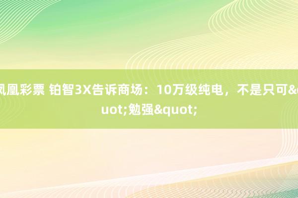 凤凰彩票 铂智3X告诉商场：10万级纯电，不是只可"勉强"
