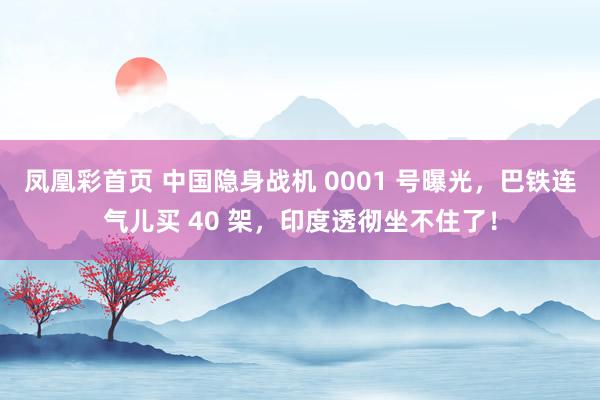 凤凰彩首页 中国隐身战机 0001 号曝光，巴铁连气儿买 40 架，印度透彻坐不住了！