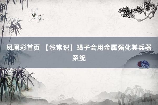 凤凰彩首页 【涨常识】蝎子会用金属强化其兵器系统