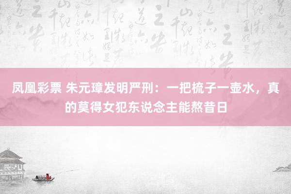 凤凰彩票 朱元璋发明严刑:一把梳子一壶水,真的莫得女犯东说念主能熬昔日