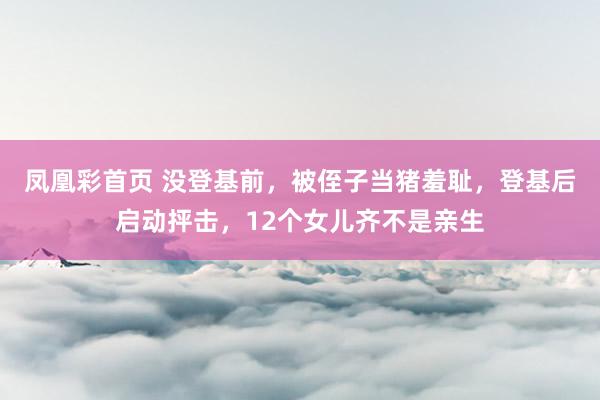 凤凰彩首页 没登基前，被侄子当猪羞耻，登基后启动抨击，12个女儿齐不是亲生