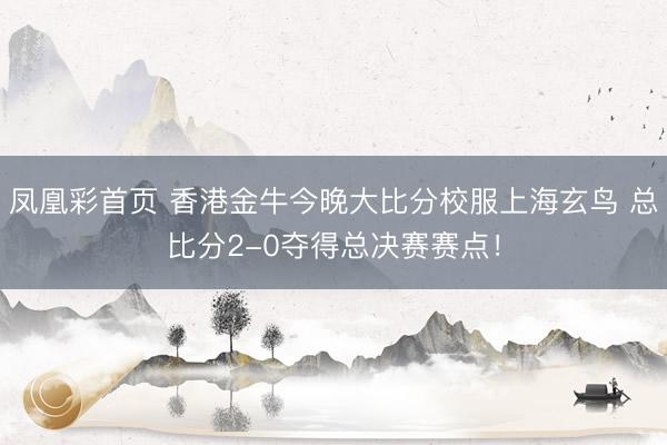 凤凰彩首页 香港金牛今晚大比分校服上海玄鸟 总比分2-0夺得总决赛赛点!