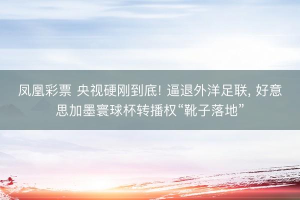 凤凰彩票 央视硬刚到底! 逼退外洋足联， 好意思加墨寰球杯转播权“靴子落地”