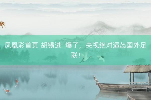 凤凰彩首页 胡锡进: 爆了，央视绝对逼怂国外足联！