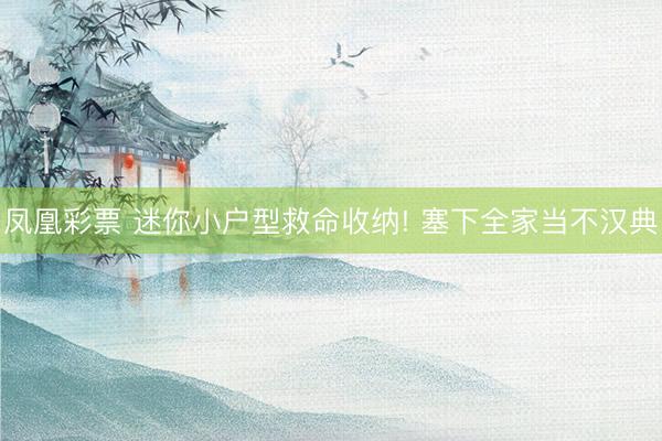 凤凰彩票 迷你小户型救命收纳! 塞下全家当不汉典