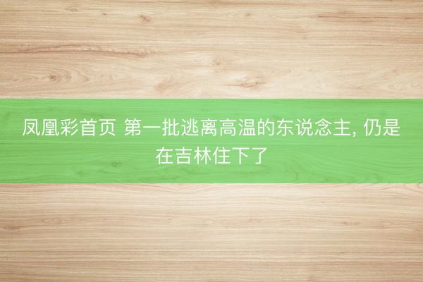 凤凰彩首页 第一批逃离高温的东说念主， 仍是在吉林住下了