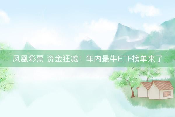 凤凰彩票 资金狂减！年内最牛ETF榜单来了