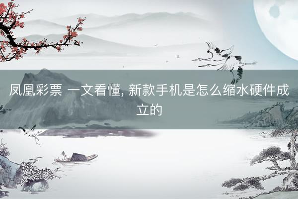 凤凰彩票 一文看懂， 新款手机是怎么缩水硬件成立的