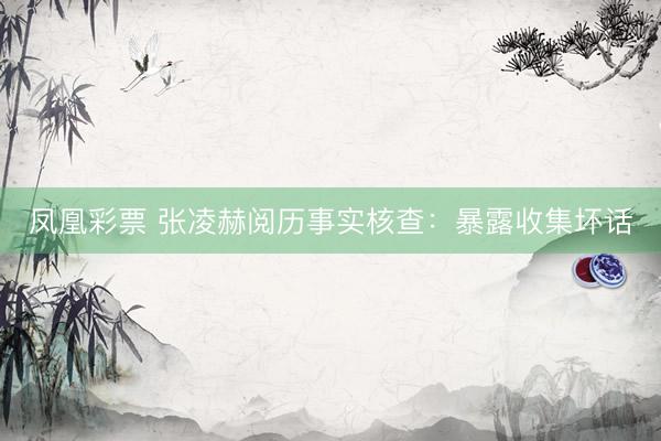 凤凰彩票 张凌赫阅历事实核查:暴露收集坏话